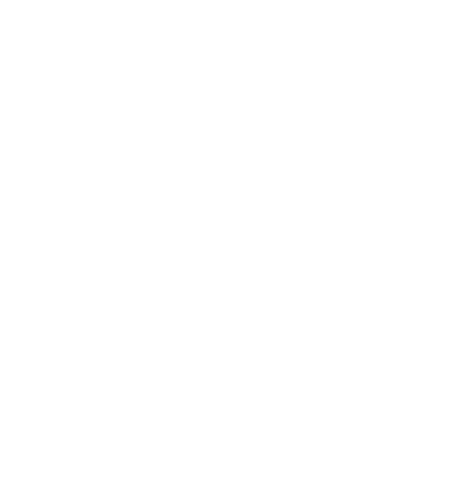 mouse icon
